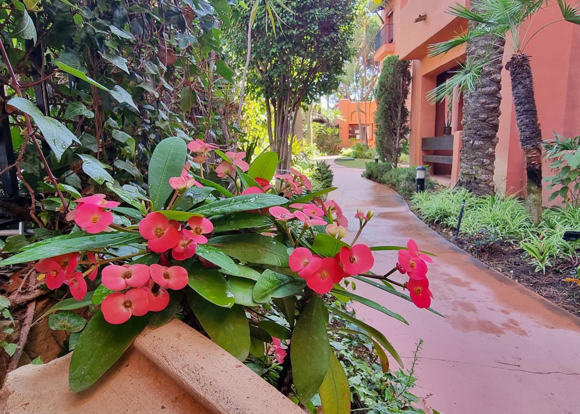 Jardines De Don Carlos Marbella